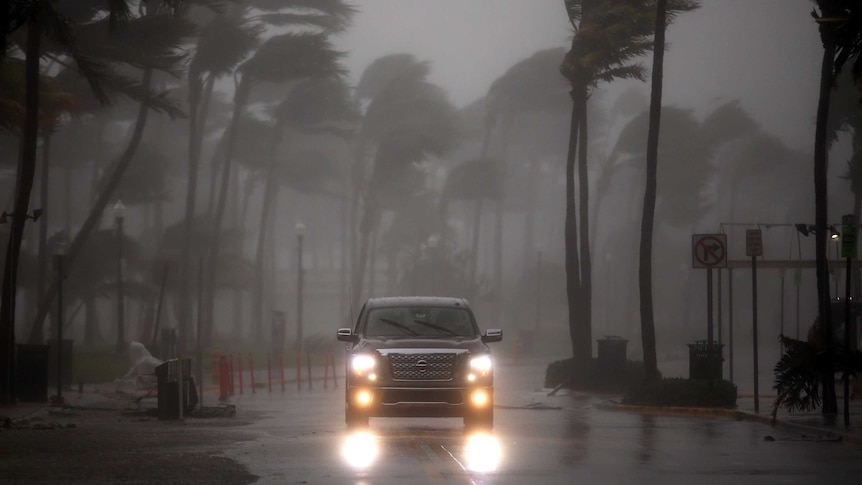 A car has its headlights on as it drives down a street lined with palm trees, blowing in Hurricane Irma