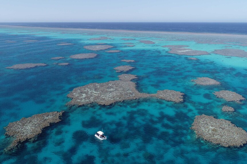 A boat floats among coral reefs.