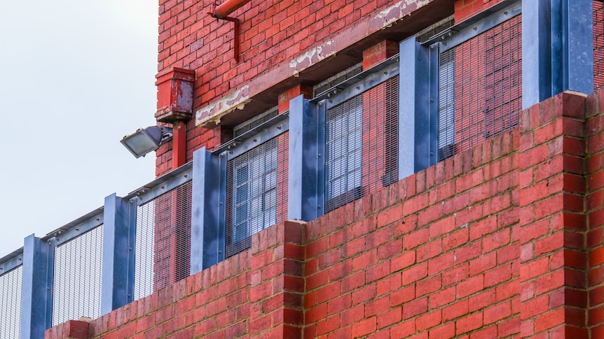 A shot of a brick wall.