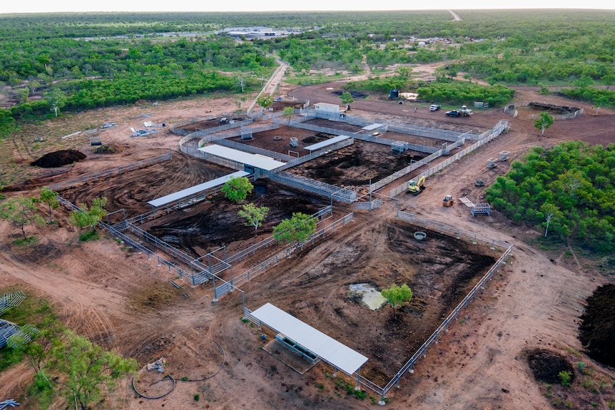 An aerial of cattle yards and processing facility surrounded by green pasture