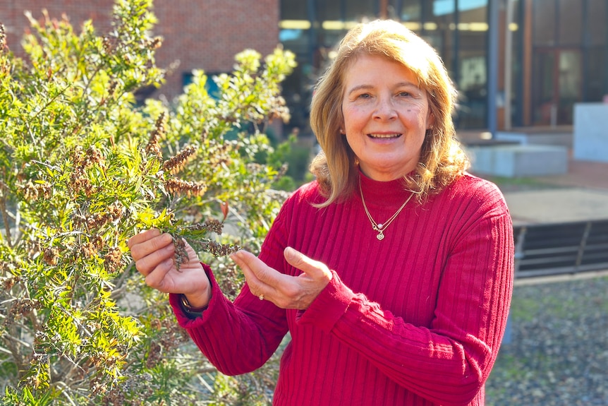 A woman in a red sweater smiling at the camera and pointing out features of a plant.