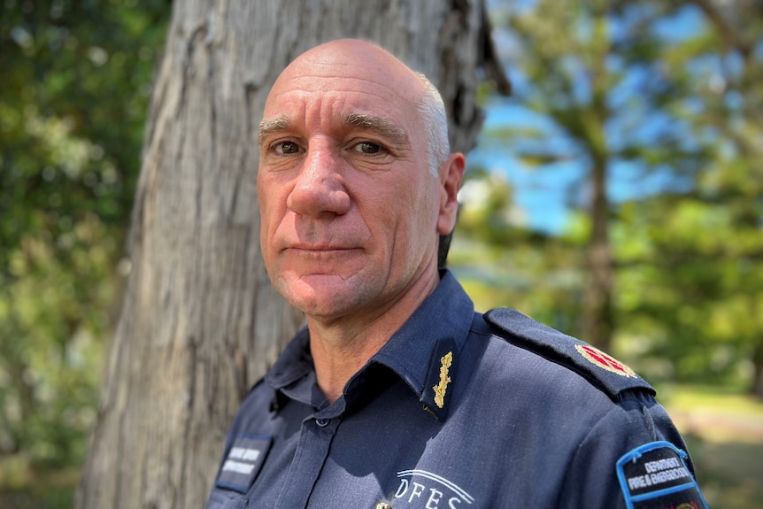 Bald man stands infront of tree wearing blue collard short sleeve shirt. Background is very green with blue sky. 