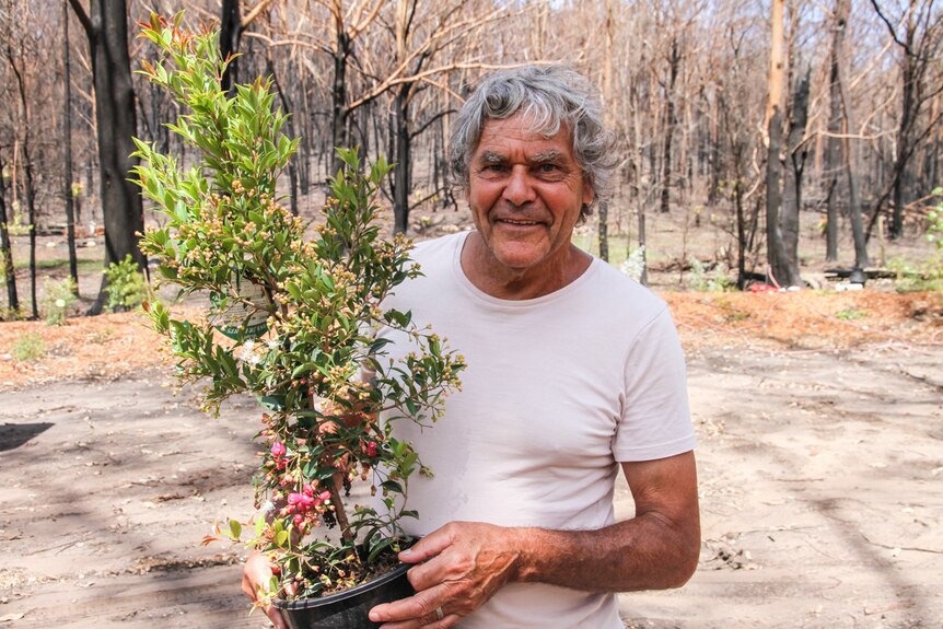 Noel Butler stands on his burnt property holding a small bush ready for planting.