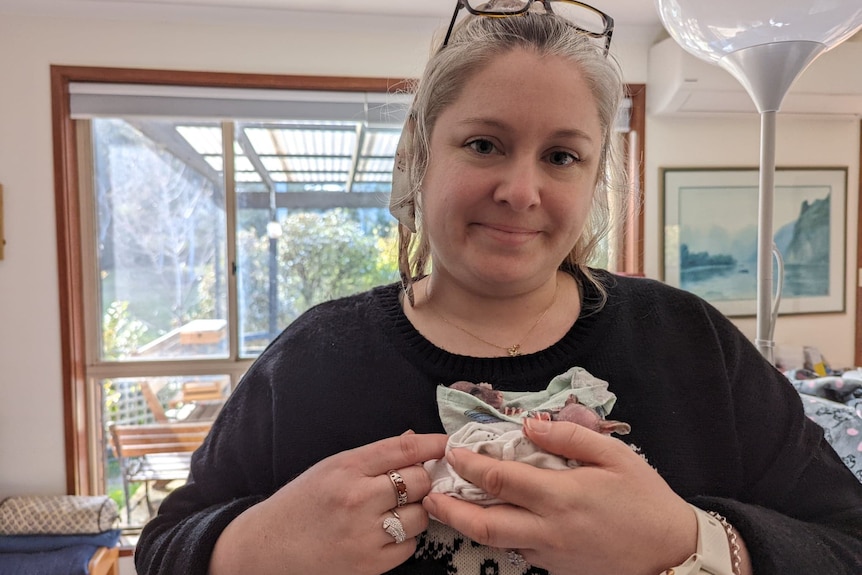 Corin smiles, holding a bundle of blanket with two very tiny possum joeys inside.