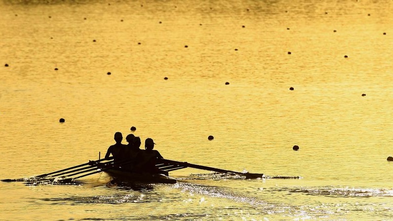 A rowing four silhouetted against a Sydney sunrise.