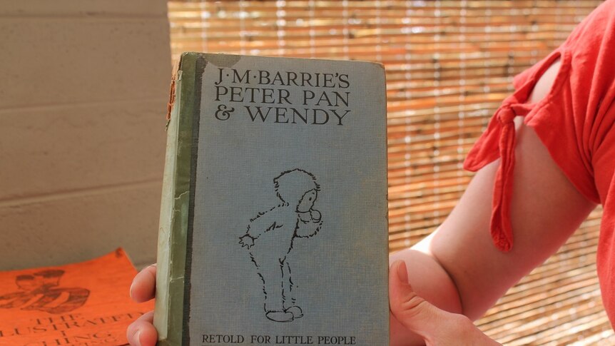A book called 'J.M Barrie's Peter Pan and Wendy'