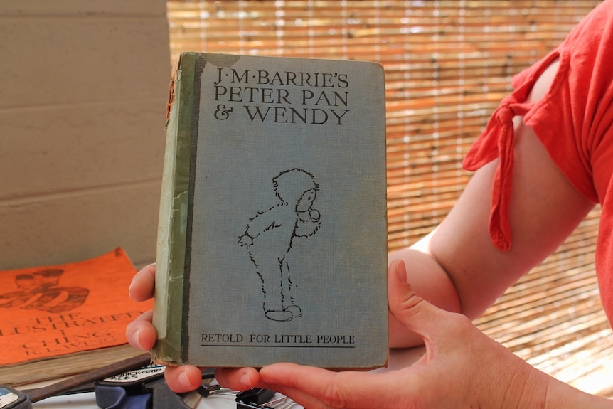 A book called 'J.M Barrie's Peter Pan and Wendy'