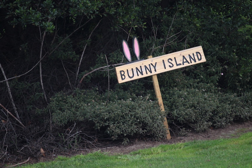 Wooden sign that says Rabbit Island