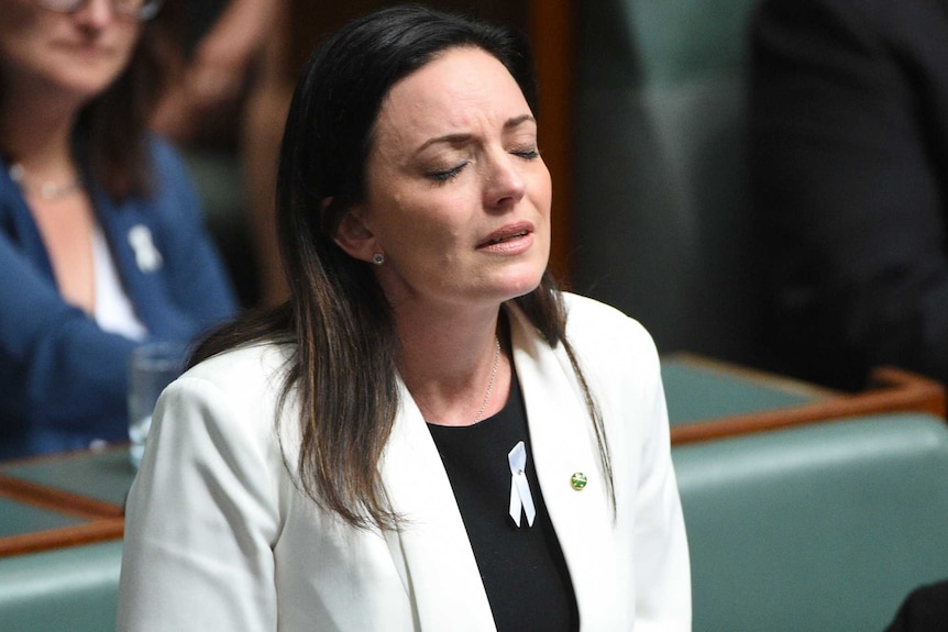 Labor member for Lindsay Emma Husar in tears in House of Representatives