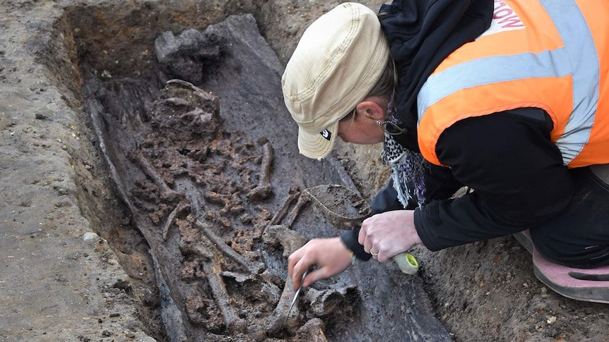 An archaeologist excavates human remains at Great Ryburgh in Norfolk, eastern England.