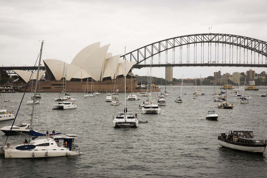 multiple yachts float near Sydney Harbor Bridge and Opera House
