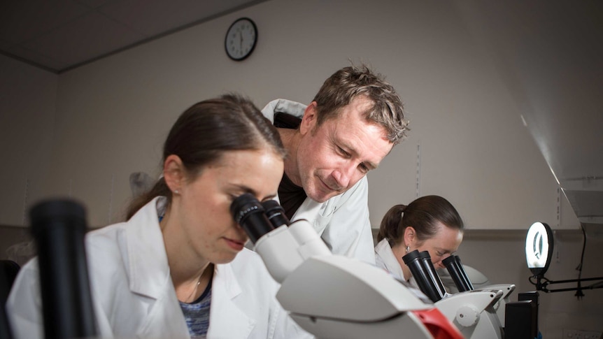 Dr Dennis McNevin, forensic genetics expert at University of Canberra