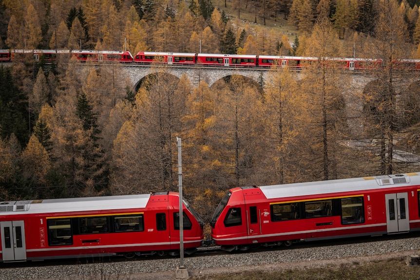 A red train on bridge going between trees