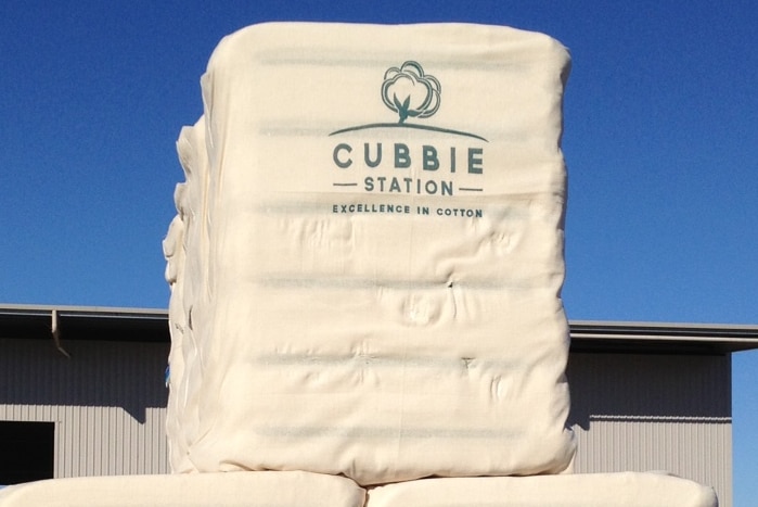 Cubby Cotton bales outside a large shed