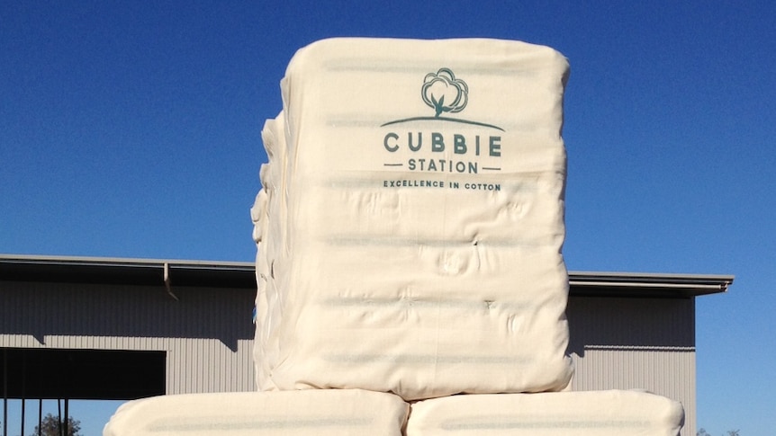 Cubbie station cotton bales