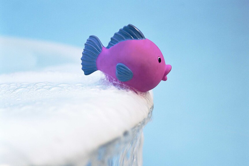 Toy fish on edge of bath