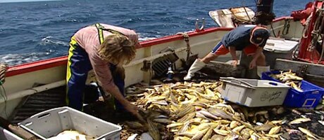 Deep Sea Fisherman Salary Australia - macacosmelhorados