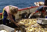 The Government has announced a package to restructure the fishing industry.