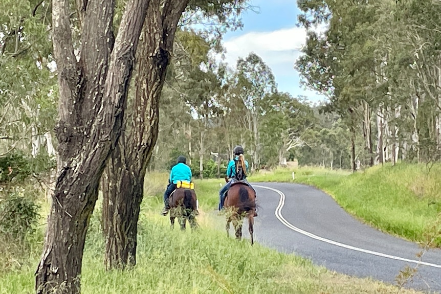 Two riders head off down a road.