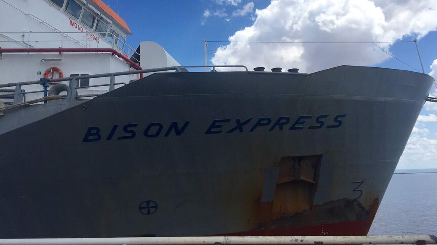 The Bison Express