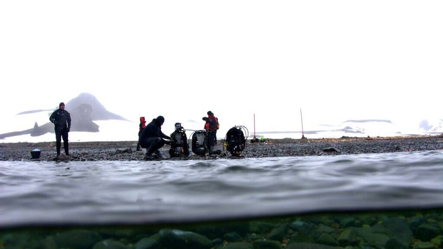 Antarctica - preparing to dive