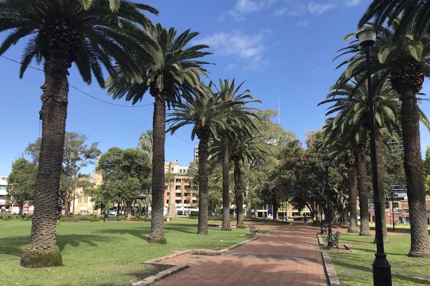 A park in Parramatta