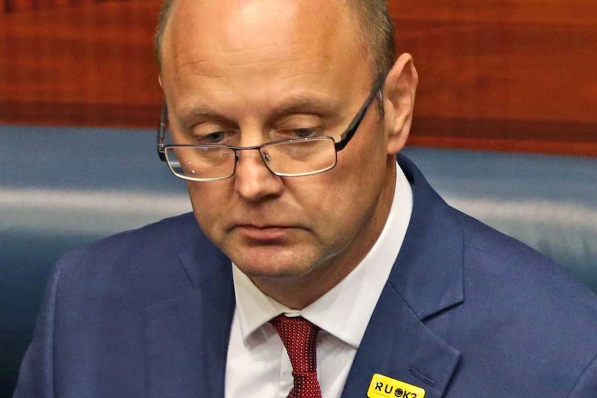 Former Darling Range MP Barry Urban speaking in parliament, wearing a blue suit and an RUOK? badge