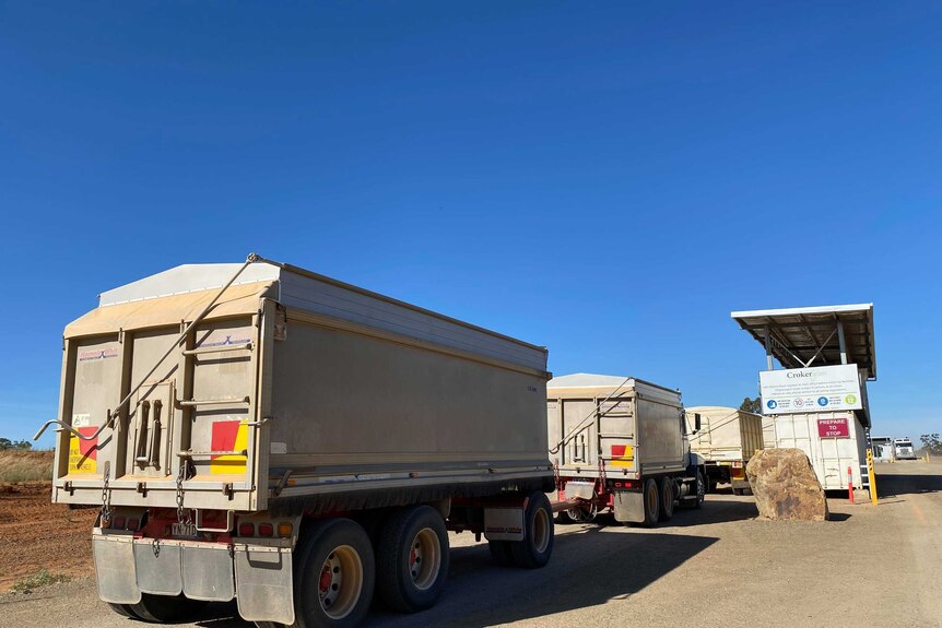 Trucks lined up to enter a grain site.