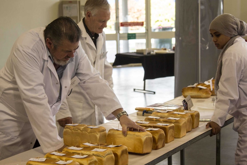 Judges consider loaves of white bread at the Perth Royal Show.