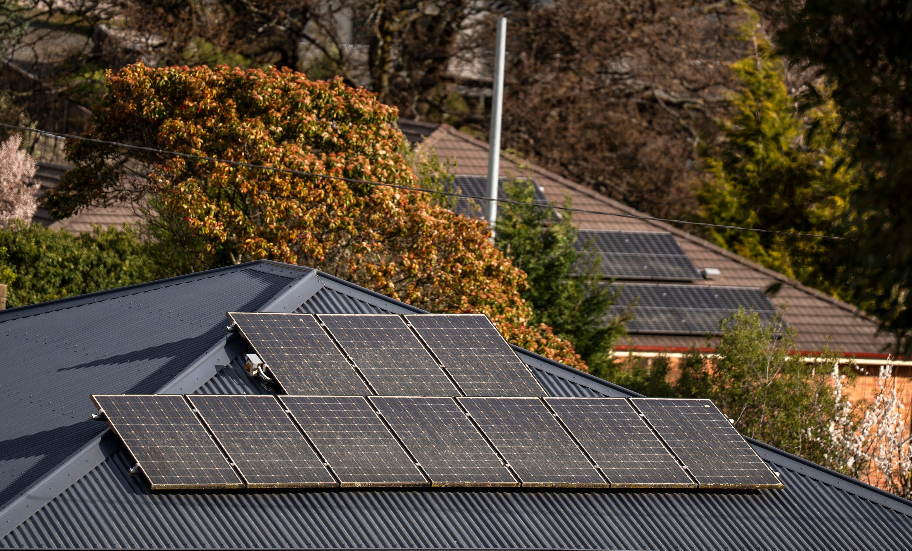 Homes with blue roofs and dark square solar panels installed on the rooves with flowers and homes in the background.