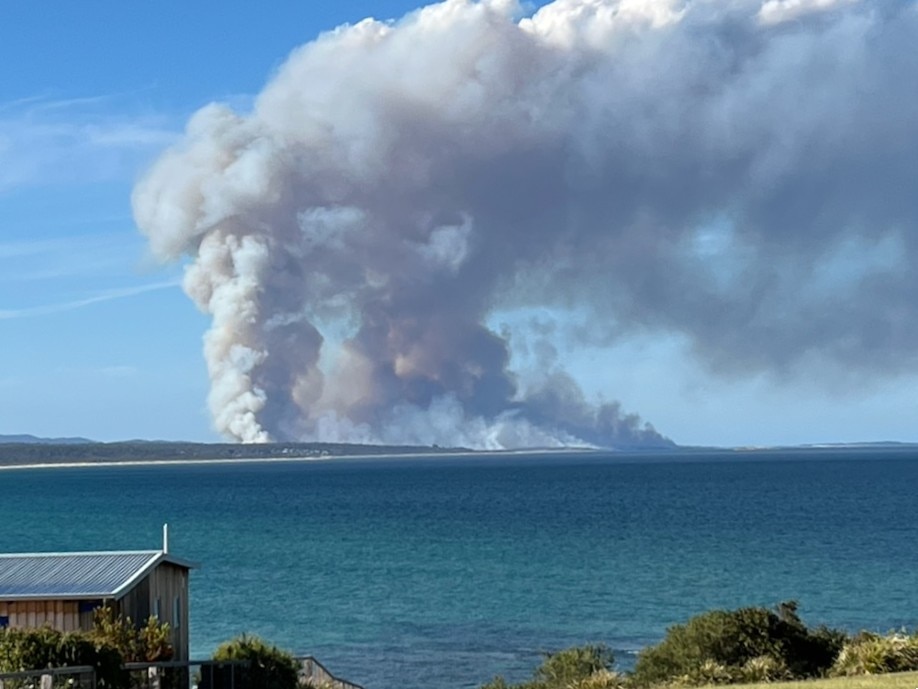 Nube de humo de un incendio forestal cerca de la costa.