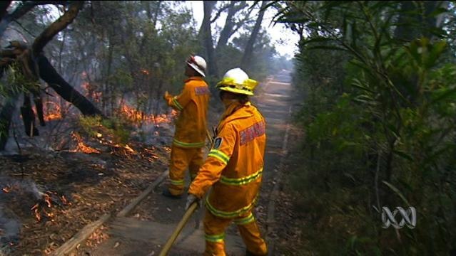 Firefighters stand beside fire in forest