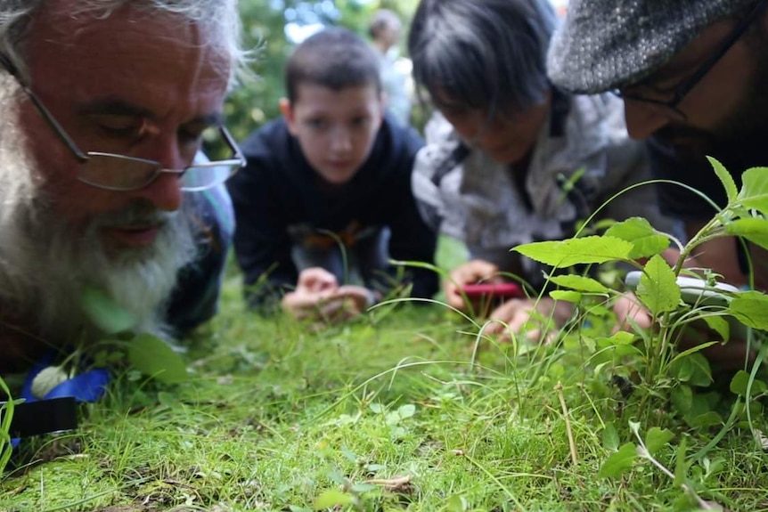 People looking for insects on the ground