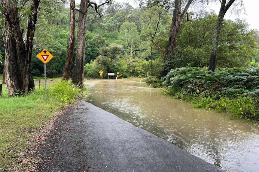 Flooding closed a number of roads across New South Wales