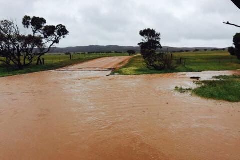 Flooding near Cowell