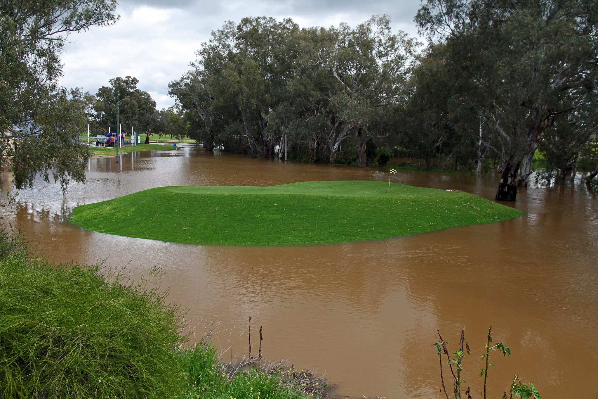 NSW severe weather warning issued, damaging winds set to lash state's ...