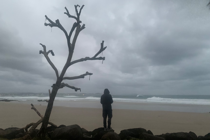 A man stands on rocks next to a tree looking at rough waves.