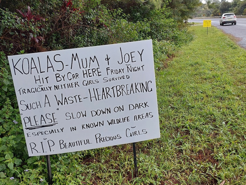 A home-made sign on the side of the road warns drivers to slow down and a car drives past it