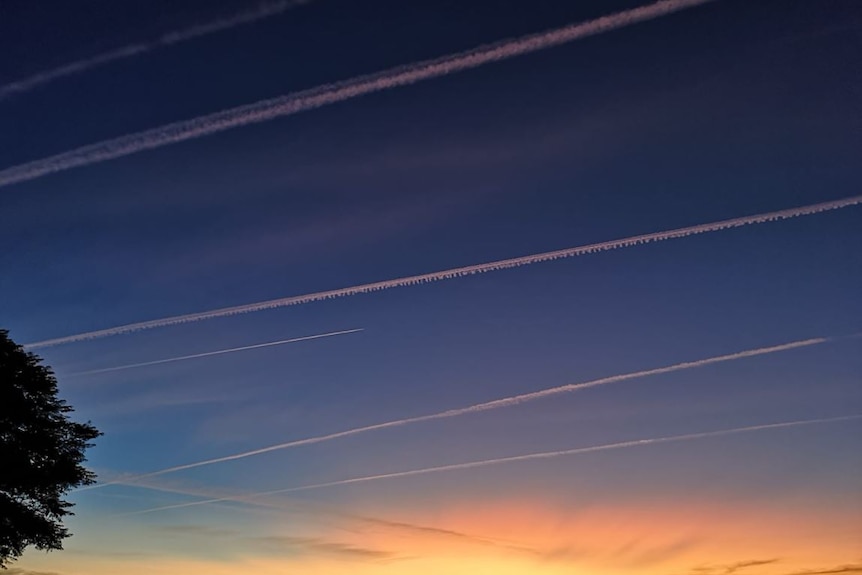 vapour trail white lines in a sunset sky