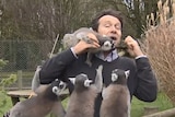 A pack of lemurs have mobbed BBC reporter Alex Dunlop.