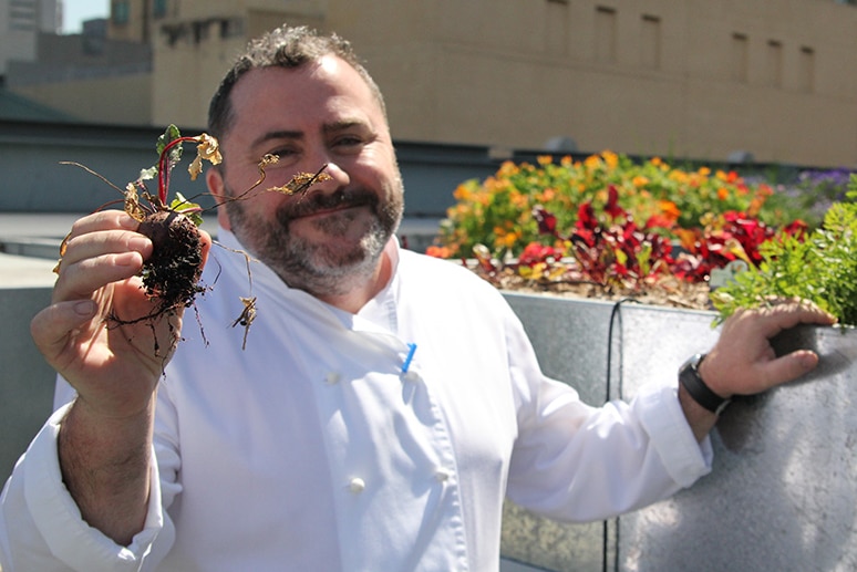 Chef Paul Easson shows off a beetroot grown in his urban garden on the rooftop of the QT Sydney Hotel.