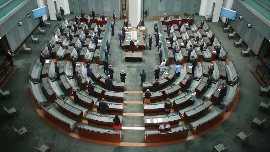 Federal parliamentarians stand, more than half of the seats in the house of representatives lay empty