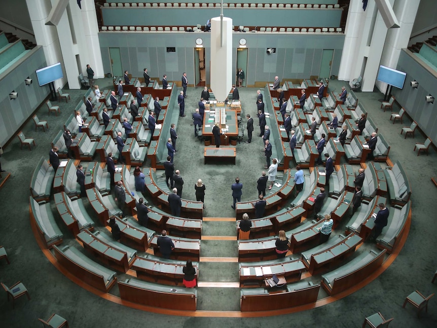 Federal parliamentarians stand, more than half of the seats in the house of representatives lay empty