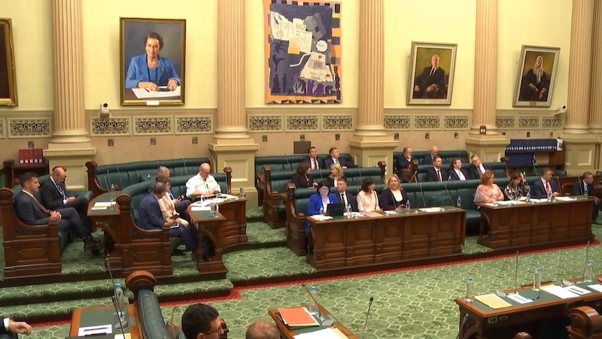 A group of MPs sit in SA parliament's lower house chamber on benches with green carpet