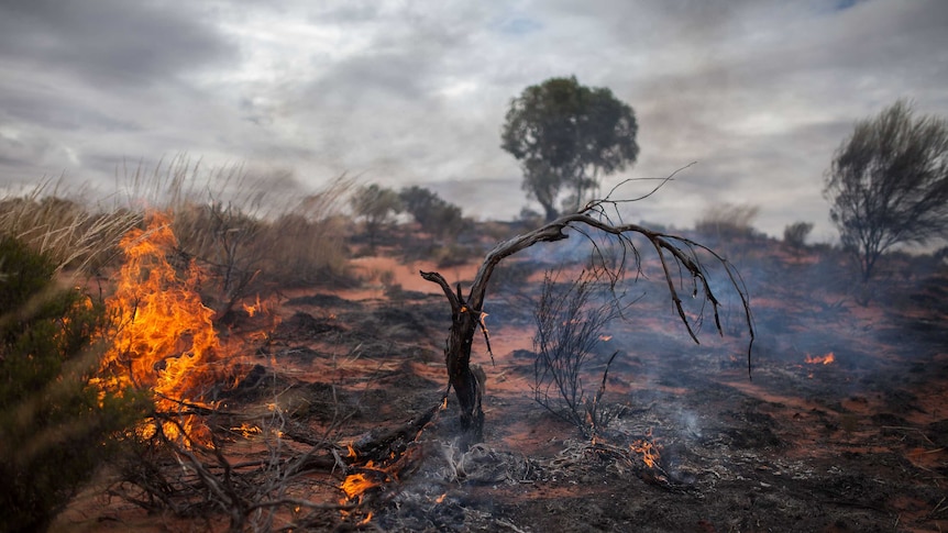 A smouldering fire near Warburton, WA.