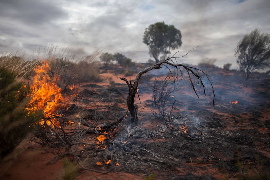 A smouldering fire near Warburton, WA.