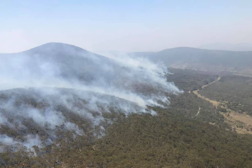 Smoke billows in a line out of a forest, as seen from an aerial view.