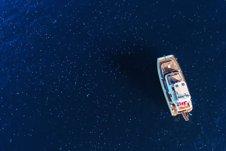 Swarms of small white jellyfish surround a boat in the deep blue Mediterranean sea  