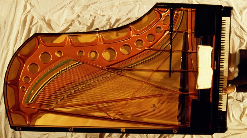 a grand piano with its lid open and strings visible, seen from above with a blurred figure at the keys