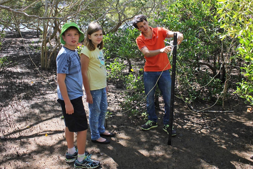 Two children stand in a mangrove while a man adjusts a sensor staked into the mud